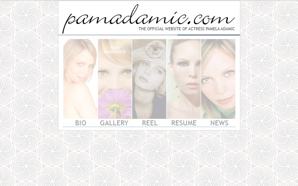 Peak-activity snapshot of pamadamic.com from Aug 03, 2011